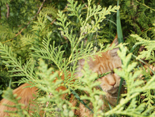 DSC02287.JPG