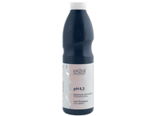 DL1000S17 �������