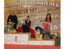 1-IMG_3564.JPG