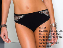 NIMES high brief