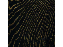 ������ ����� � ������� �������.jpg