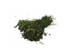 ����� ������ ������.jpg