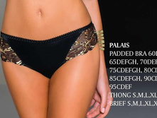 PALAIS brief