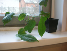 �. ������������������������+/