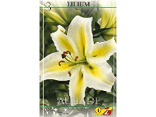 ����� 2,35 ���� �� 3 ��..png