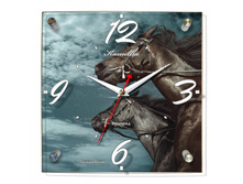 805 ����.jpg