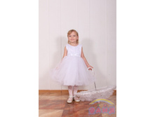 ������ ��=���� 1166 ���.jpg