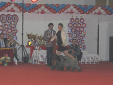 1-IMG_3663.JPG
