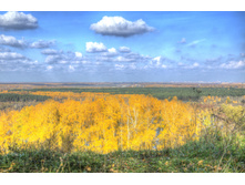 2014-10-12 13-42-41DSC_0057And2more_tonemapped.jpg