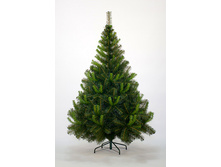 ��� �������.