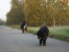 DSC02497.JPG