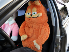 ��������� �������, 1500 ���. 1 ��