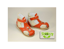 �������� �������������� ������� 008co.jpg