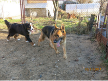 ������ 025.JPG