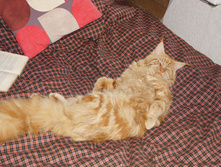 DSC02450.JPG