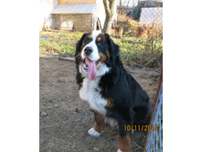 ������ 037.JPG