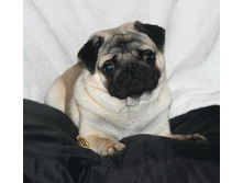 2014-11-02 13-28-40 - 0346.JPG