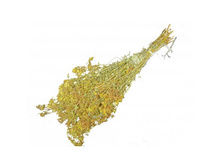 ����� ��������.jpg