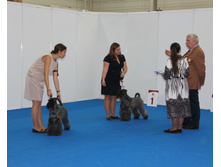 1-IMG_3644.JPG