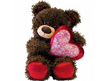 ����� ���� � �������