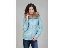 WP 3694 (T W3694.33) ������ ���������� �� ���. ���� � �����. ����� 103.00 ��