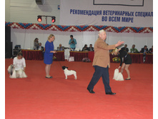 1-IMG_3691.JPG