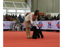 1-IMG_3514.JPG