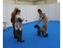 1-IMG_3630-001.JPG