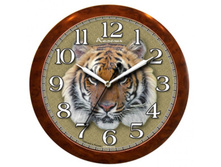 ���� 12304.jpg