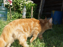 DSC02291.JPG