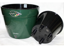 ���� ����� ��� ������� ������.jpg