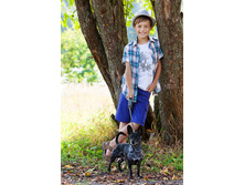 51.14. ������� � ������� ������-544 ���