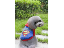 ��������� «Superman» 180004  341 ���.jpg