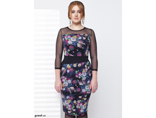 ������ �������� (������ ������)