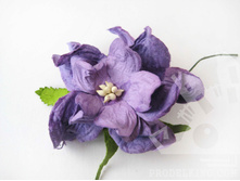 �������� 6��, 1��-17���