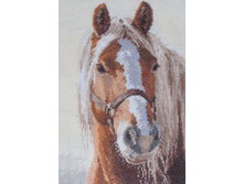 "�����" 20*29 ��.