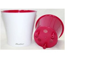 ����� ���� 2,0 �. �����-�������.jpg