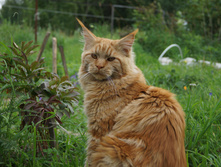 DSC02432.JPG