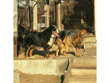 ������ 030.JPG