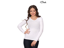 �������� �������: 1119   ����: �����