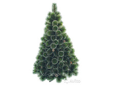 ����� ������������� � ������� ������