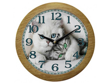 ������ 4365552.jpg