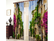 ����� �����.jpg