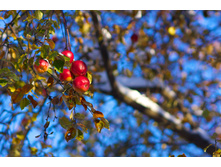 ������ �� �����.jpg