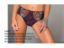 LAVAL big brief