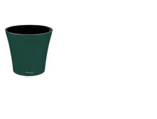 ����� ���� 5 �.  �������-������.jpg