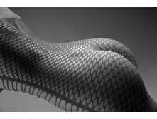 ������������ ����� web.jpg