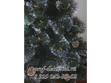 ����� ����