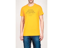 MF 4361 (C M4361.22) �������� (�������) 5,81 ��