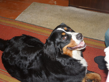DSC02279.JPG